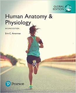 Human Anatomy & Physiology, Global Edition 2nd edition